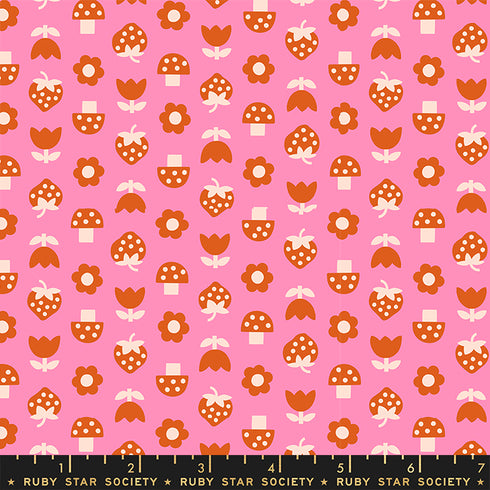 Picture Book Strawbitties in Flamingo - Ruby Star Society Sold by the Half Yard